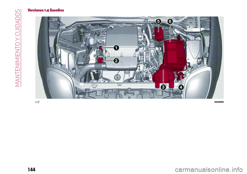 Alfa Romeo MiTo 2021  Manual de Empleo y Cuidado (in Spanish) Versiones 1.4 Gasolina
117A0J0300C
144
MANTENIMIENTO Y CUIDADOS 