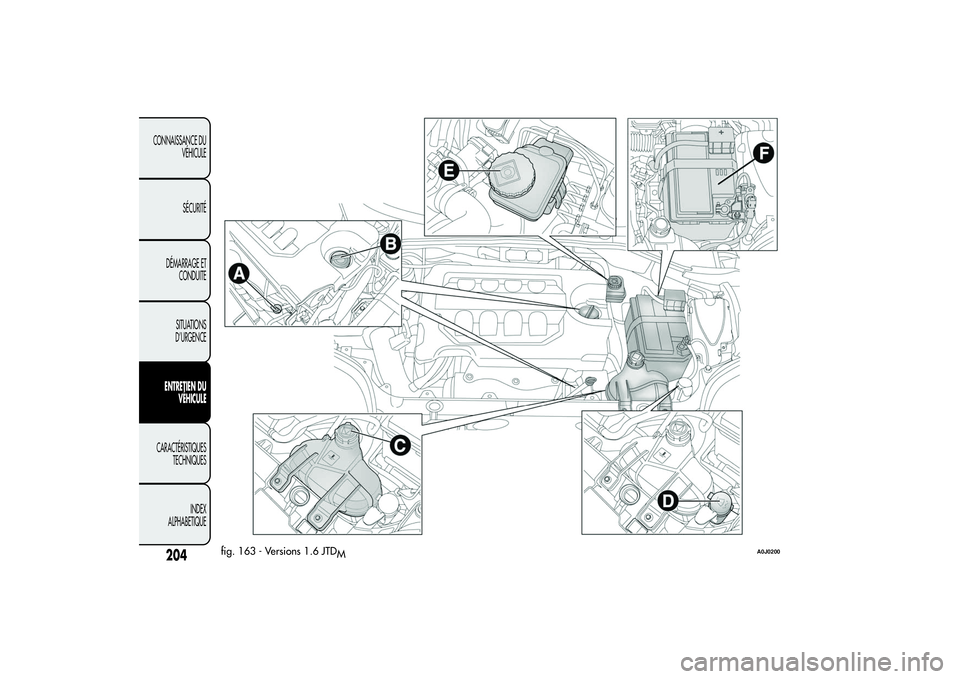 Alfa Romeo MiTo 2013  Notice dentretien (in French) fig. 163 - Versions 1.6 JTD
M
A0J0200
204
CONNAISSANCE DU
VÉHICULE
SÉCURITÉ
DÉMARRAGE ET
CONDUITE
SITUATIONS
D’URGENCEENTRETIEN DU
VÉHICULECARACTÉRISTIQUES
TECHNIQUES
INDEX
ALPHABETIQUE 