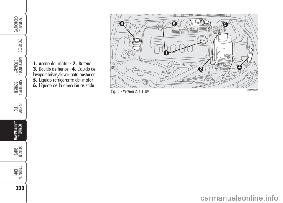 Alfa Romeo 159 2008  Manual de Empleo y Cuidado (in Spanish) 230
SEGURIDAD
TESTIGOS
Y MENSAJES
QUÉ
HACER SI
MANTENIMIENTO
Y CUIDADO
DATOS 
TÉCNICOS
ÍNDICE
ALFABÉTICO
SALPICADERO
Y MANDOS 
ARRANQUE
Y CONDUCCIÓN
fig. 5 - Versión 2.4 JTDMA0E0203m
1.Aceite de
