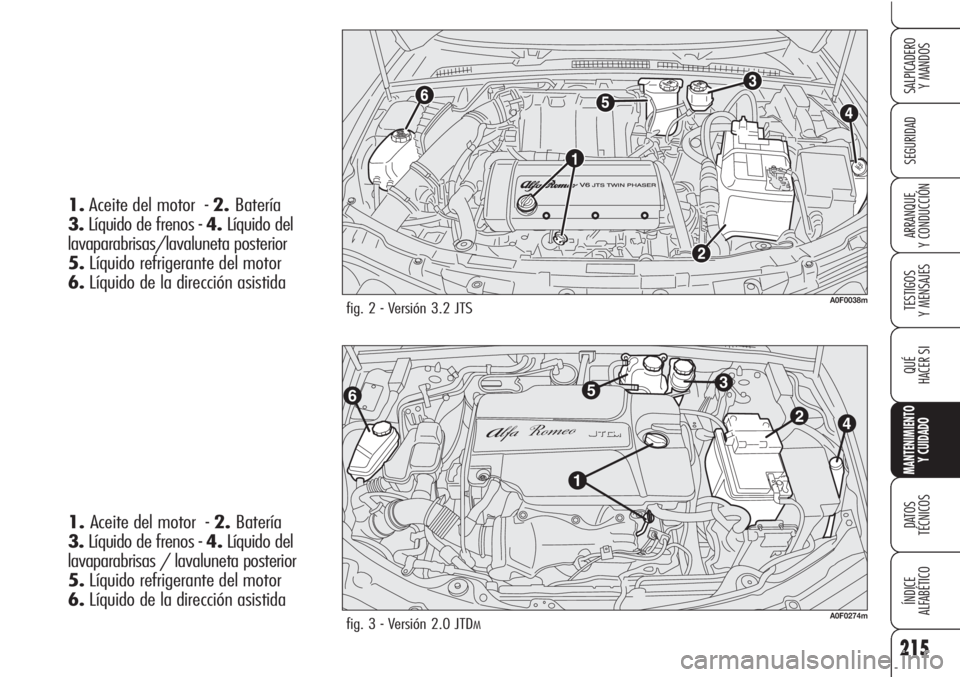 Alfa Romeo Brera/Spider 2010  Manual de Empleo y Cuidado (in Spanish) 215
SEGURIDAD
TESTIGOS
Y MENSAJES
QUÉ
HACER SI
MANTENIMIENTO
Y CUIDADO
DATOS 
TÉCNICOS
ÍNDICE
ALFABÉTICO 
SALPICADERO
Y MANDOS 
ARRANQUE
Y CONDUCCIÓN
fig. 2 - Versión 3.2 JTSA0F0038m
1.Aceite de