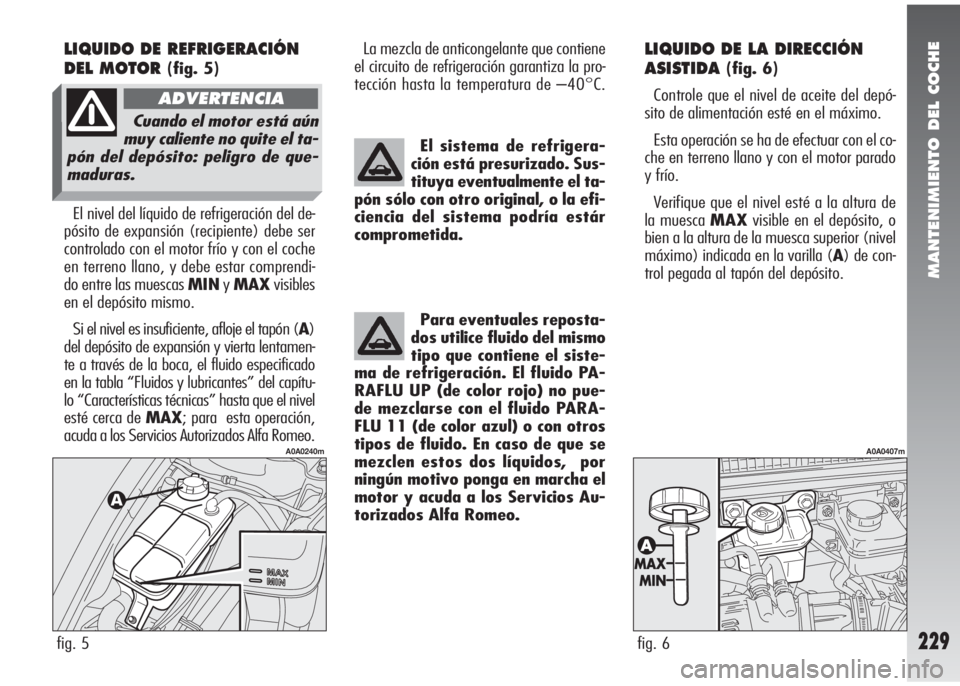 Alfa Romeo 147 2010 Manual de Empleo y Cuidado (in Spanish) MANTENIMIENTO DEL COCHE
229
LIQUIDO DE LA DIRECCIÓN
ASISTIDA
(fig. 6)
Controle que el nivel de aceite del depó-
sito de alimentación esté en el máximo.
Esta operación se ha de efectuar con el co Alfa Romeo 147 2010 Manual de Empleo y Cuidado (in Spanish) MANTENIMIENTO DEL COCHE
229
LIQUIDO DE LA DIRECCIÓN
ASISTIDA
(fig. 6)
Controle que el nivel de aceite del depó-
sito de alimentación esté en el máximo.
Esta operación se ha de efectuar con el co