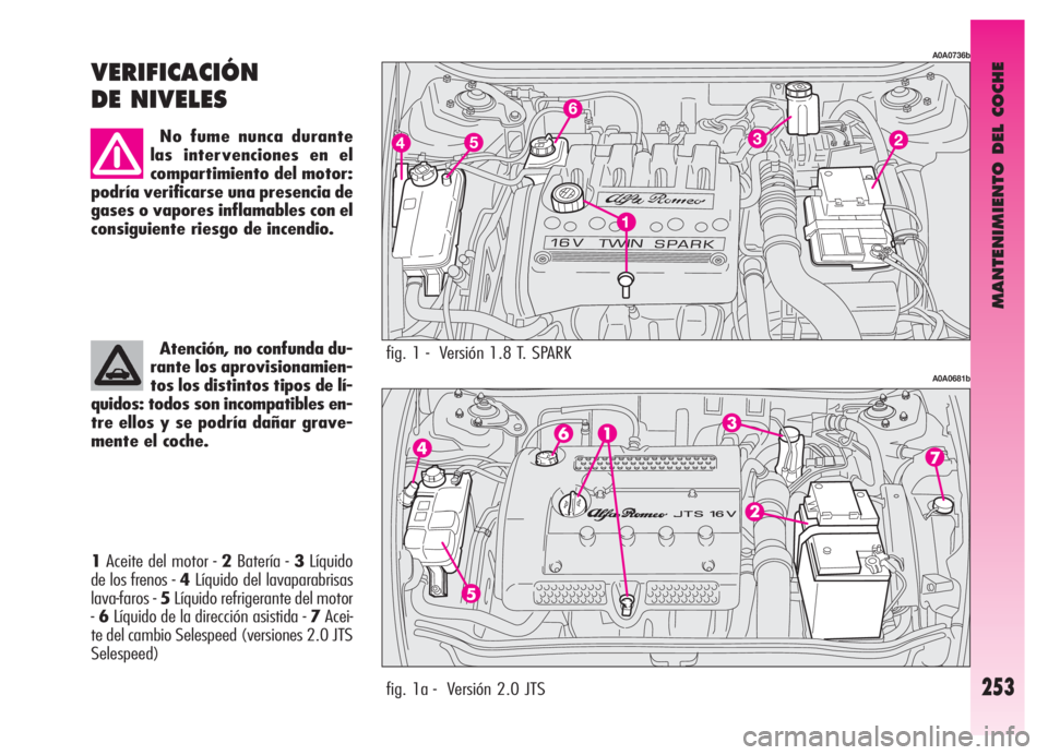 Alfa Romeo GT 2006  Manual de Empleo y Cuidado (in Spanish) MANTENIMIENTO DEL COCHE
253
1Aceite del motor - 2Batería - 3Líquido
de los frenos -4Líquido del lavaparabrisas
lava-faros - 5Líquido refrigerante del motor
-6Líquido de la dirección asistida - 7