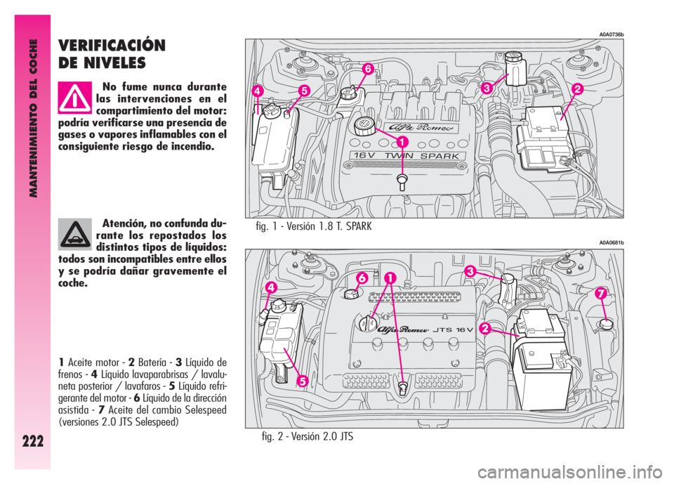 Alfa Romeo GT 2007  Manual de Empleo y Cuidado (in Spanish) MANTENIMIENTO DEL COCHE
222
fig. 1 - Versión 1.8 T. SPARK 
A0A0736b
A0A0681b
VERIFICACIÓN
DE NIVELES 
No fume nunca durante
las intervenciones en el
compartimiento del motor:
podría verificarse una