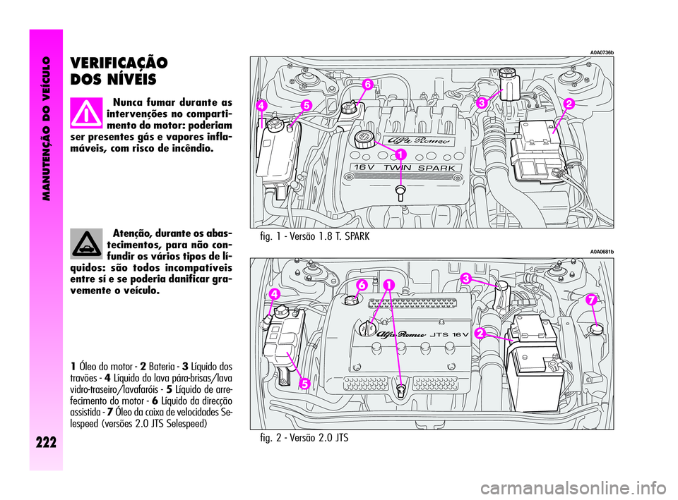 Alfa Romeo GT 2005  Manual de Uso e Manutenção (in Portuguese) MANUTENÇÃO DO VEÍCULO
222
fig. 1 - Versão 1.8 T. SPARK 
A0A0736b
A0A0681b
VERIFICAÇÃO
DOS NÍVEIS 
Nunca fumar durante as
intervenções no comparti-
mento do motor: poderiam
ser presentes gás 