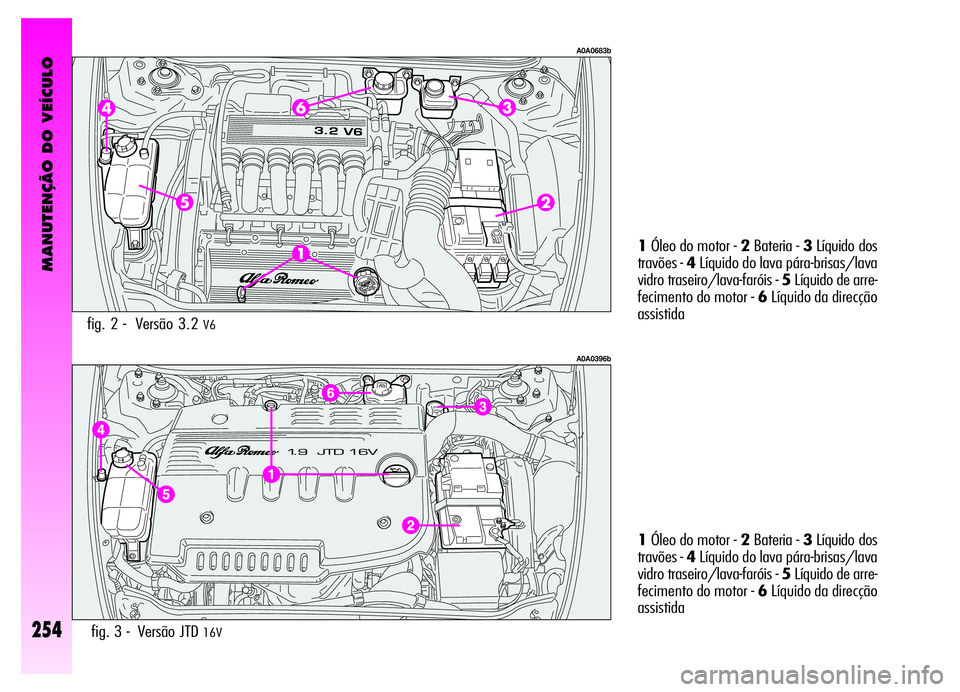 Alfa Romeo GT 2006  Manual de Uso e Manutenção (in Portuguese) MANUTENÇÃO DO VEÍCULO
254fig. 3 -  Versão JTD 16V
1Óleo do motor - 2Bateria - 3Líquido dos
travões -4Líquido do lava pára-brisas/lava
vidro traseiro/lava-faróis - 5Líquido de arre-
feciment