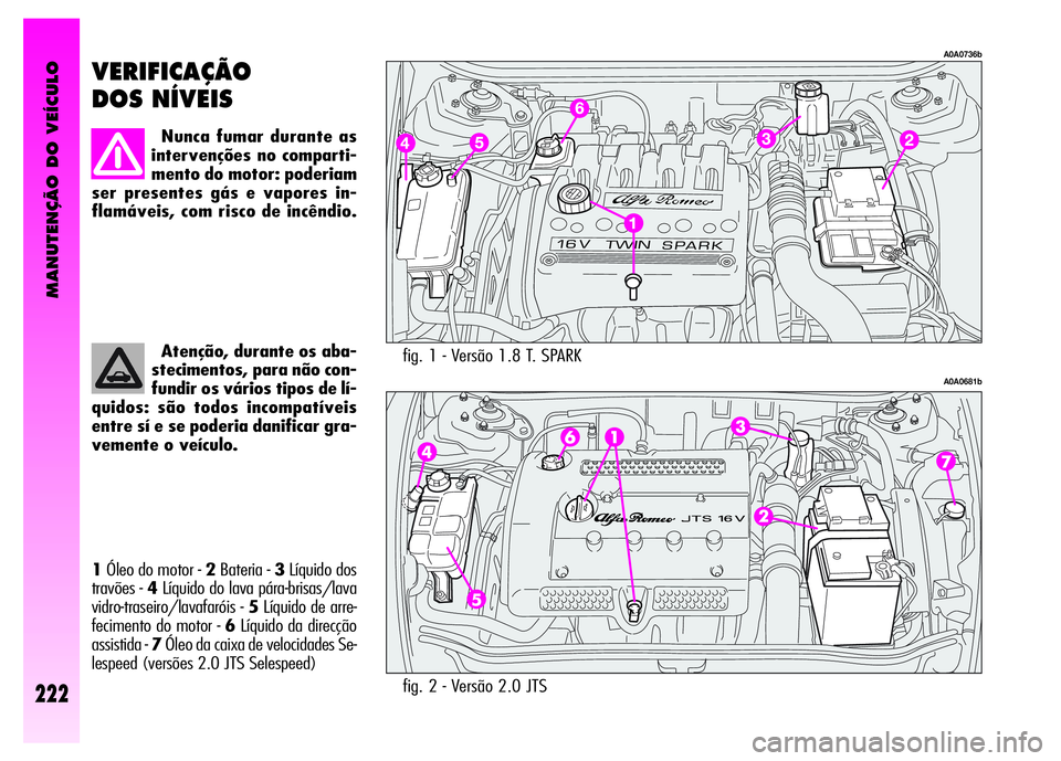 Alfa Romeo GT 2008  Manual de Uso e Manutenção (in Portuguese) MANUTENÇÃO DO VEÍCULO
222
fig. 1 - Versão 1.8 T. SPARK 
A0A0736b
A0A0681b
VERIFICAÇÃO
DOS NÍVEIS 
Nunca fumar durante as
intervenções no comparti-
mento do motor: poderiam
ser presentes gás 