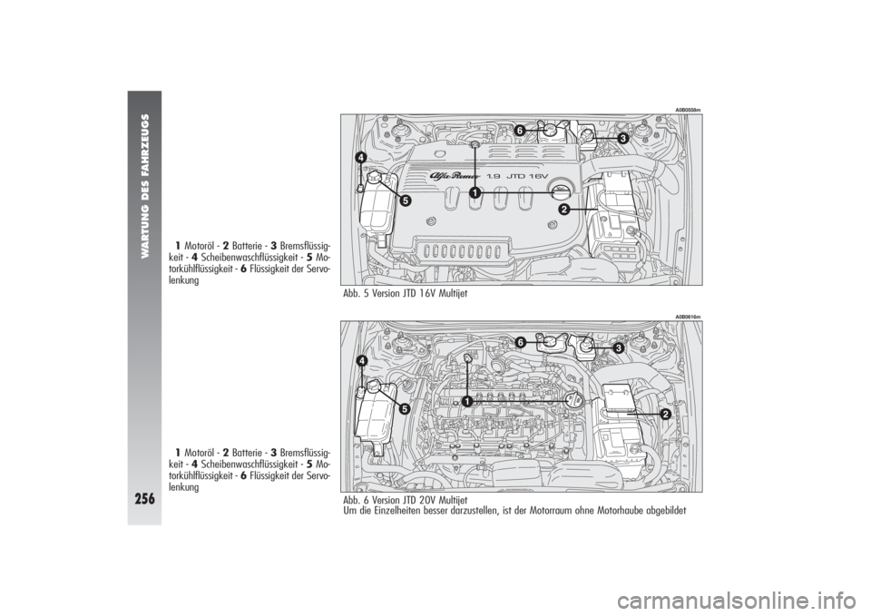 Alfa Romeo 156 2004  Betriebsanleitung (in German) WARTUNG DES FAHRZEUGS
256
A0B0558m
1Motoröl - 2Batterie - 3Bremsflüssig-
keit - 4Scheibenwaschflüssigkeit - 5Mo-
torkühlflüssigkeit - 6Flüssigkeit der Servo-
lenkung
1Motoröl - 2Batterie - 3Bre