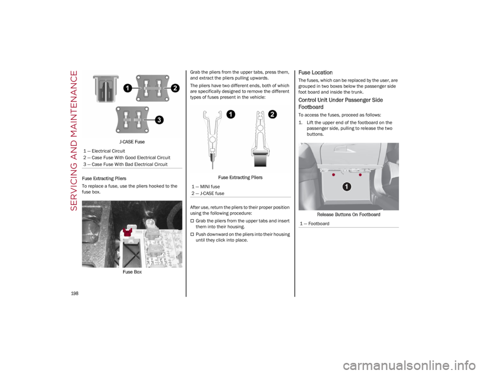 ALFA ROMEO GIULIA 2022 Owners Manual SERVICING AND MAINTENANCE
198
J-CASE Fuse
Fuse Extracting Pliers
To replace a fuse, use the pliers hooked to the
fuse box.
Fuse Box Grab the pliers from the upper tabs, press them,
and extract the ALFA ROMEO GIULIA 2022 Owners Manual SERVICING AND MAINTENANCE
198
J-CASE Fuse
Fuse Extracting Pliers
To replace a fuse, use the pliers hooked to the
fuse box.
Fuse Box Grab the pliers from the upper tabs, press them,
and extract the