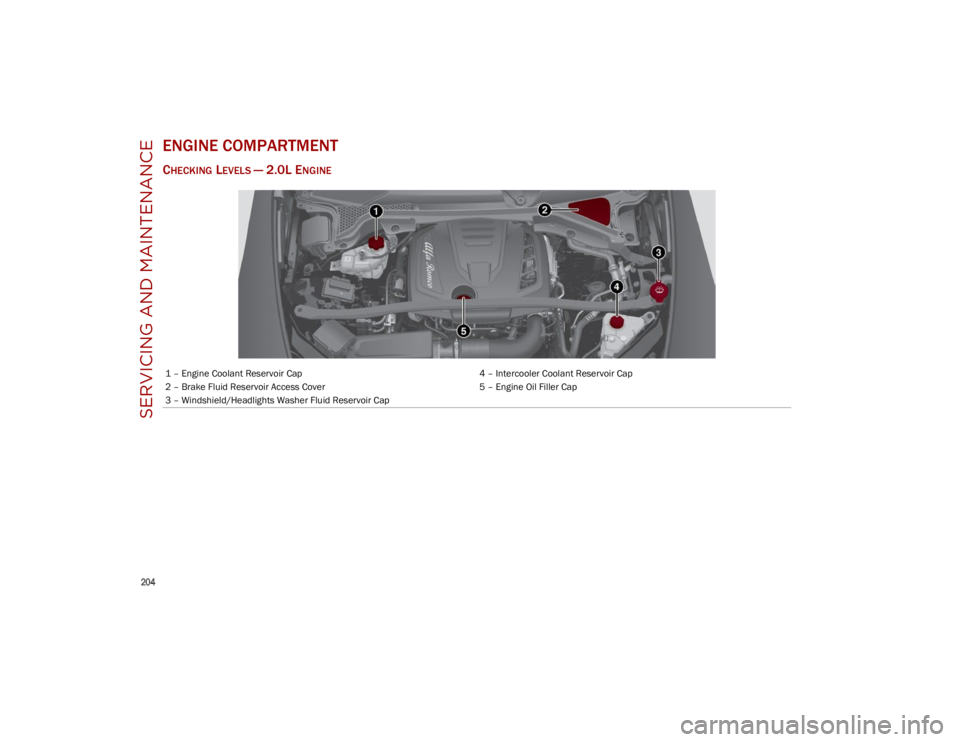 ALFA ROMEO STELVIO 2023  Owners Manual SERVICING AND MAINTENANCE

204

ENGINE COMPARTMENT
CHECKING LEVELS — 2.0L ENGINE
1 – Engine Coolant Reservoir Cap4 – Intercooler Coolant Reservoir Cap
2 – Brake Fluid Reservoir Access Cover 5 