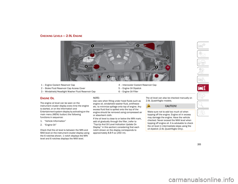 ALFA ROMEO STELVIO 2023  Owners Manual 
205

CHECKING LEVELS — 2.9L ENGINE
ENGINE OIL
The engine oil level can be seen on the 
instrument cluster display every time the engine 
is started, or on the Information and 
Entertainment system 
