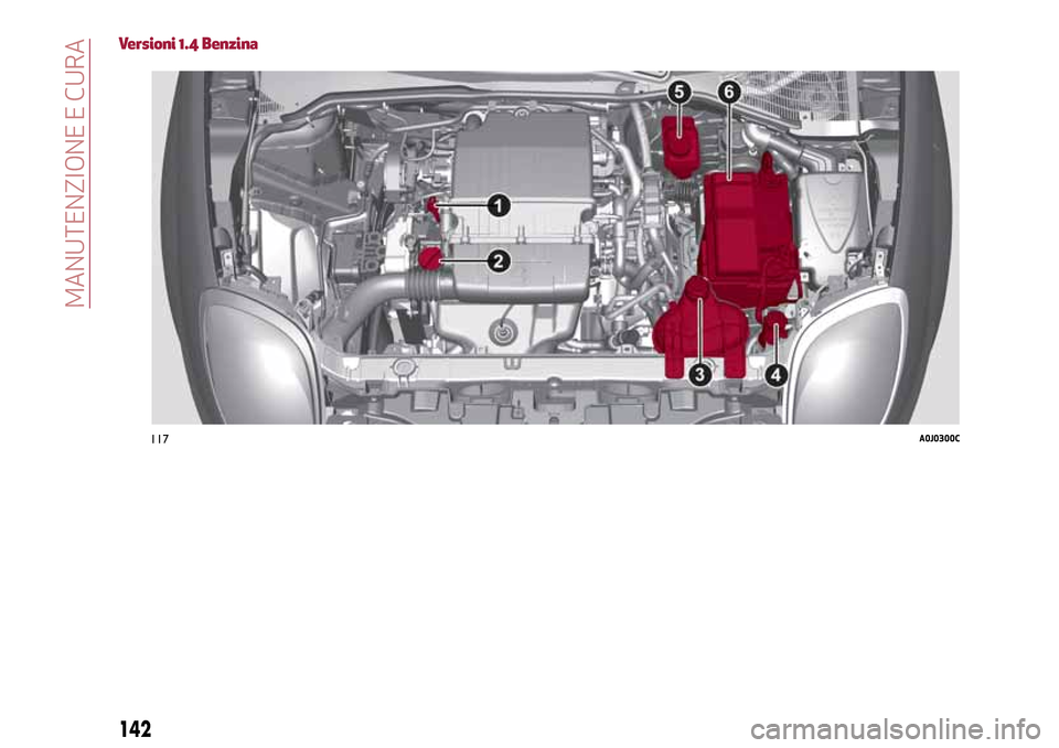 Alfa Romeo MiTo 2017  Manuale del proprietario (in Italian) Versioni 1.4 Benzina
117A0J0300C
142
MANUTENZIONE E CURA 