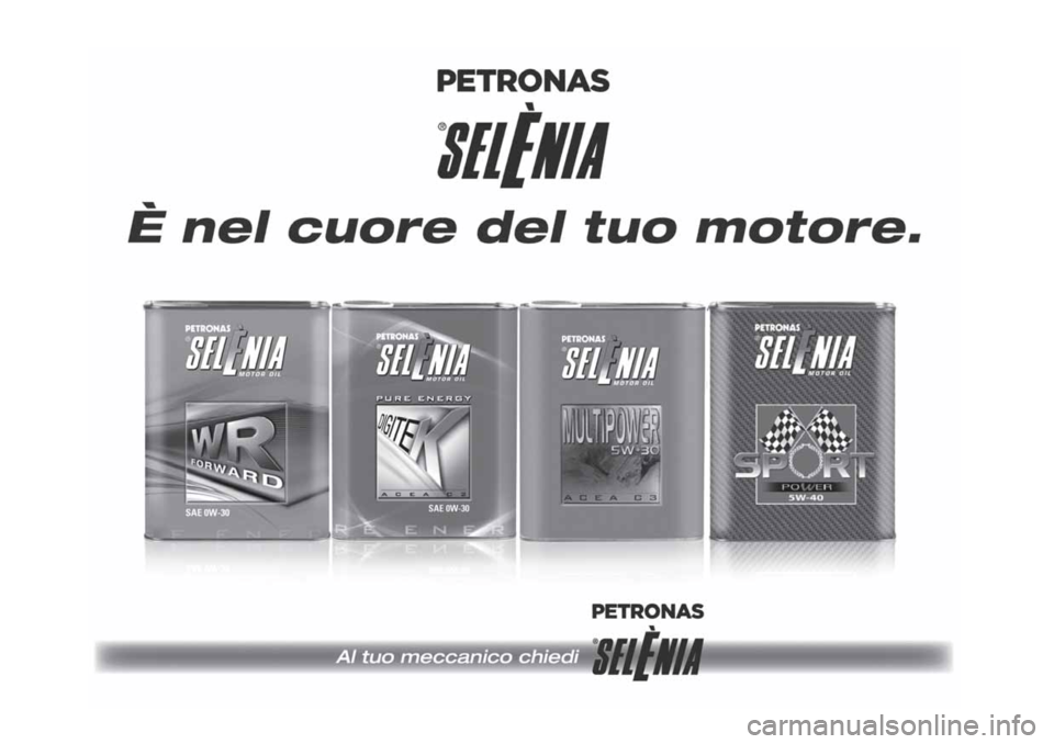Alfa Romeo Stelvio 2019  Manuale del proprietario (in Italian) 