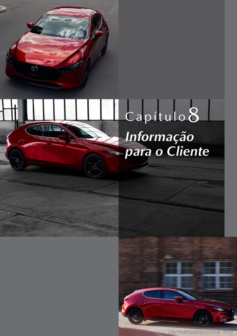 MAZDA MODEL 3 HATCHBACK 2019  Manual do proprietário (in Portuguese) Capítulo8
Informação 
para o Cliente  