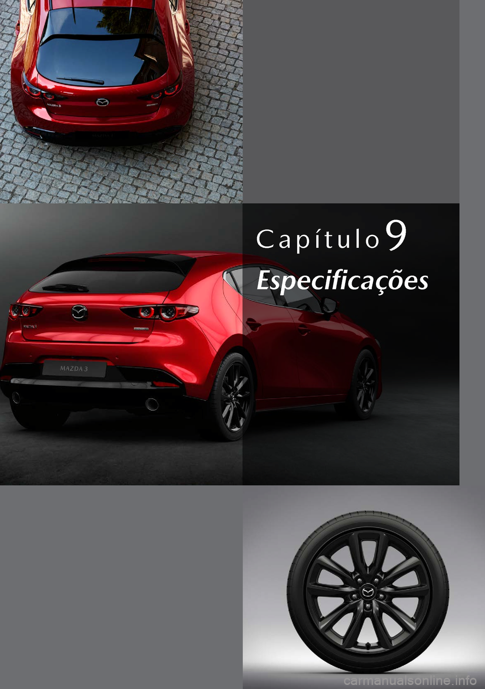 MAZDA MODEL 3 HATCHBACK 2019  Manual do proprietário (in Portuguese) Capítulo9
Especificações  