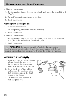 Page 236