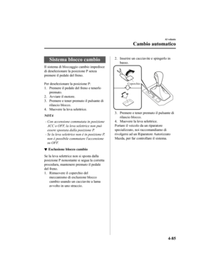Page 261