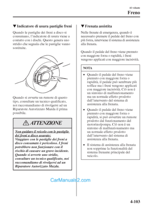 Page 251