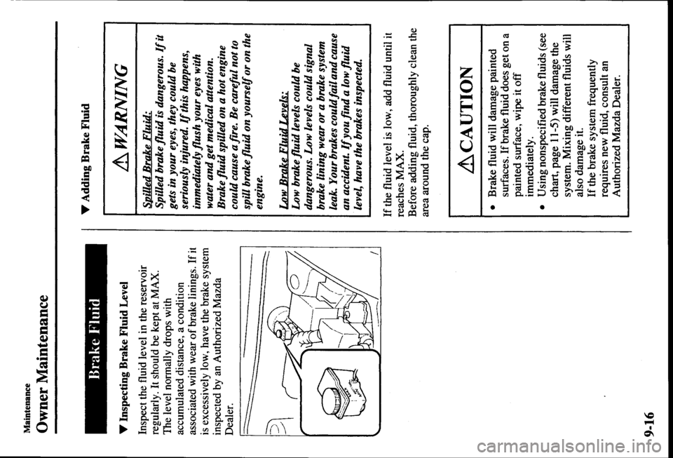 MAZDA MODEL PROTÉGÉ 2000  Owners Manual (in English) 