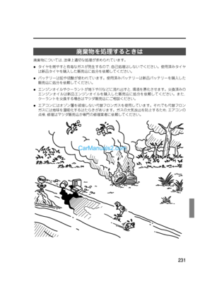 Page 231