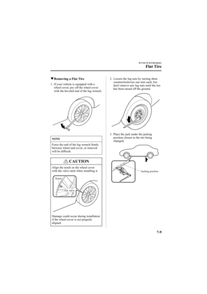Page 253