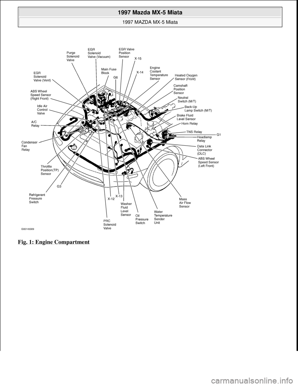 MAZDA MIATA 1997  Factory Repair Manual Fig. 1: Engine Compartment
 
1997 Mazda MX-5 Miata 
1997 MAZDA MX-5 Miata  
Microsoft  
Sunday, July 05, 2009 1:54:00 PMPage 6 © 2005 Mitchell Repair Information Company, LLC.  
