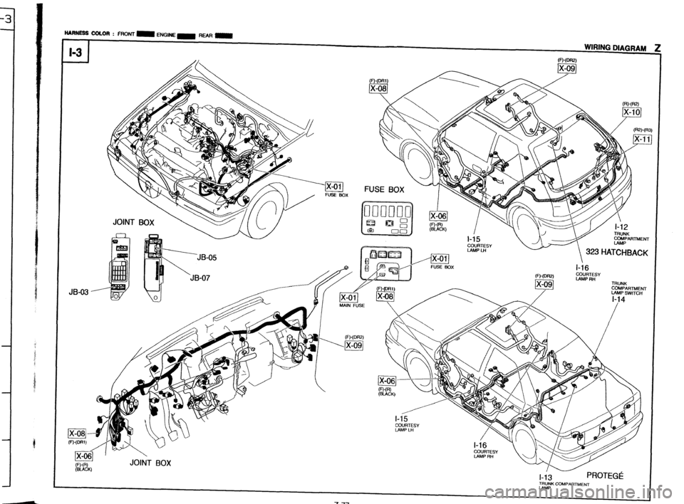 MAZDA PROTEGE 1992  Workshop Manual .- TRUNK COMPARTMENT 
IAMP  