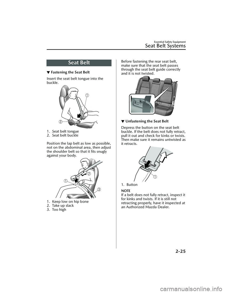 MAZDA MAZDA 2023  Owners Manual Seat Belt
▼Fastening the Seat Belt
Insert the seat belt tongue into the
buckle.
1. Seat belt tongue
2. Seat belt buckle
 
Position the lap belt as low as possible,
not on the abdominal area, then ad
