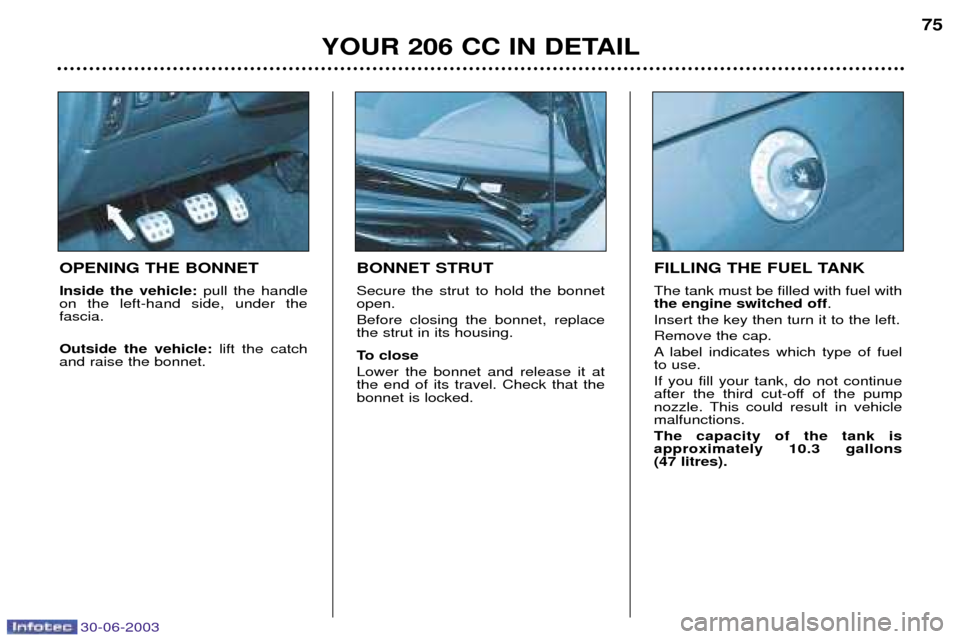 Peugeot 206 CC Dag 2003  Owners Manual 30-06-2003
YOUR 206 CC IN DETAIL75
BONNET STRUT Secure the strut to hold the bonnet open. Before closing the bonnet, replace the strut in its housing. 
To close Lower the bonnet and release it at the 