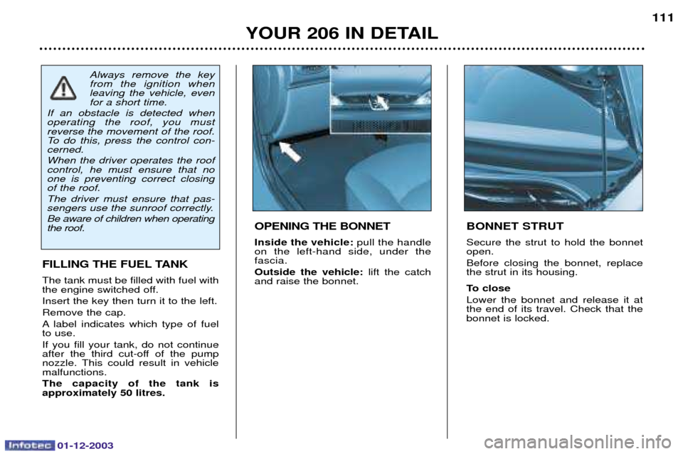 Peugeot 206 SW 2003.5  Owners Manual 01-12-2003
YOUR 206 IN DETAIL111
BONNET STRUT 
(    
    
2 
	   
 
			 
To close 
*   
 