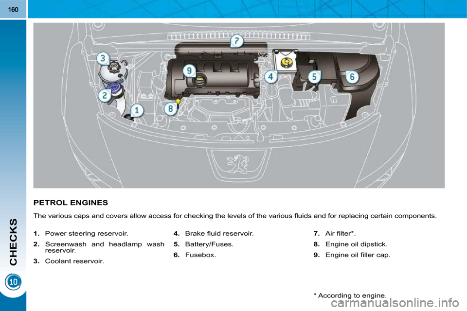 Peugeot 3008 Dag 2010  Owners Manual CHECKS
PETROL ENGINES 
� �T�h�e� �v�a�r�i�o�u�s� �c�a�p�s� �a�n�d� �c�o�v�e�r�s� �a�l�l�o�w� �a�c�c�e�s�s� �f�o�r� �c�h�e�c�k�i�n�g� �t�h�e� �l�e�v�e�l�s� �o�f� �t�h�e� �v�a�r�i�o�u�s� �ﬂ� �u�i�d�s�