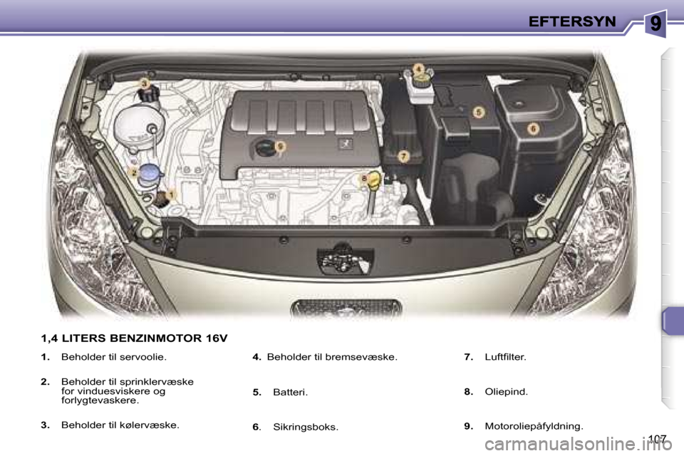 Peugeot 307 Break 2007  Instruktionsbog (in Danish) �1�0�7
�1�.� �B�e�h�o�l�d�e�r� �t�i�l� �s�e�r�v�o�o�l�i�e�.
�2�.� �B�e�h�o�l�d�e�r� �t�i�l� �s�p�r�i�n�k�l�e�r�v�æ�s�k�e� �f�o�r� �v�i�n�d�u�e�s�v�i�s�k�e�r�e� �o�g� �f�o�r�l�y�g�t�e�v�a�s�k�e�r�e�.
