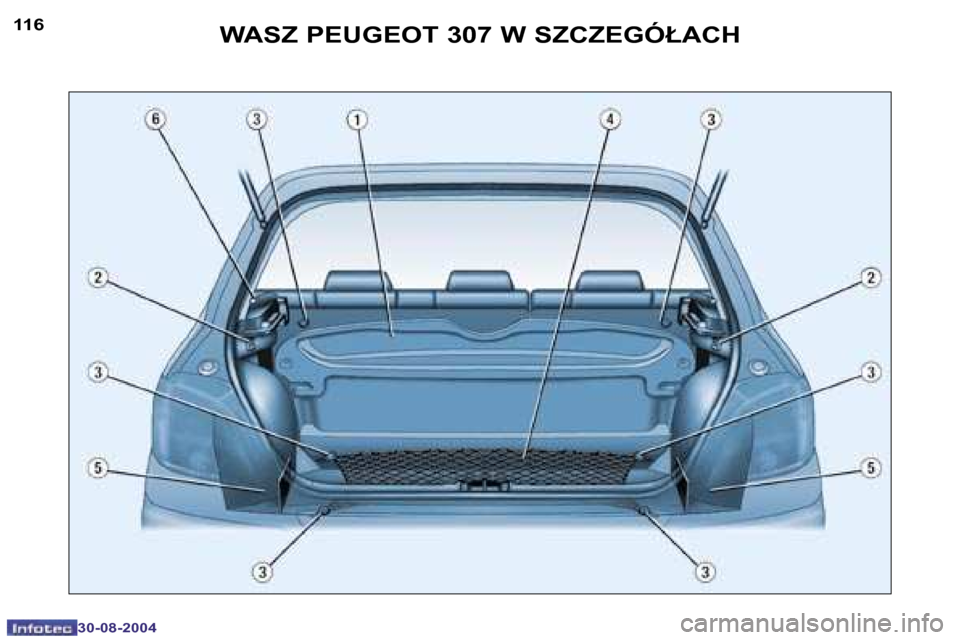 Peugeot 307 Break 2004.5  Instrukcja Obsługi (in Polish) �1�1�6
�3�0�-�0�8�-�2�0�0�4
�1�1�7
�3�0�-�0�8�-�2�0�0�4
�W�A�S�Z� �P�E�U�G�E�O�T� �3�0�7� �W� �S�Z�C�Z�E�G�Ó�Ł�A�C�H  