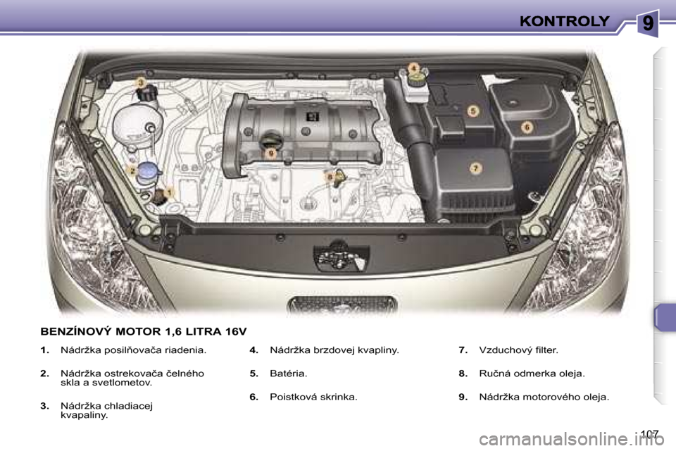 Peugeot 307 SW 2007  Užívateľská príručka (in Slovak) �1�0�7
�1�.� �N�á�d�r�ž�k�a�p�o�s�i�l3�o�v�a�č�a� �r�i�a�d�e�n�i�a�.
�2�.� �N�á�d�r�ž�k�a� �o�s�t�r�e�k�o�v�a�č�a� �č�e�l�n�é�h�o� �s�k�l�a� �a� �s�v�e�t�l�o�m�e�t�o�v�.
�3�.� �N�á�d�r�ž�k�