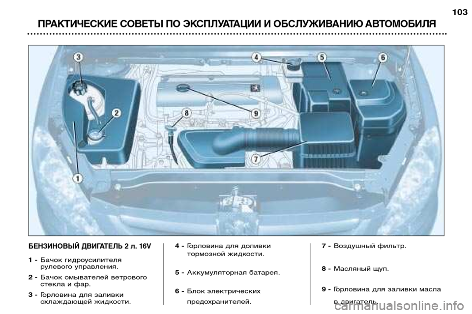 Peugeot 307 SW 2002  Инструкция по эксплуатации (in Russian) ПРАКТИЧЕСКИЕ СОВЕТЫ ПО ЭКСПЛУАТАЦИИ И ОБСЛУЖИВАНИЮ АВТОМОБИЛЯ
103
БЕНЗИНОВЫЙ ДВИГАТЕЛЬ 2 л. 16V
1 -Бачок гидроус