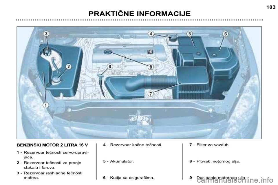 Peugeot 307 SW 2002  Упутство за употребу (in Serbian) PRAKTIČNE INFORMACIJE103
BENZINSKI MOTOR 2 LITRA 16 V
1 -
Rezervoar tečnosti servo-upravl- jača.
2 - Rezervoar tečnosti za pranje
stakala i farova.
3 - Rezervoar rashladne tečnosti
motora. 4
- Re