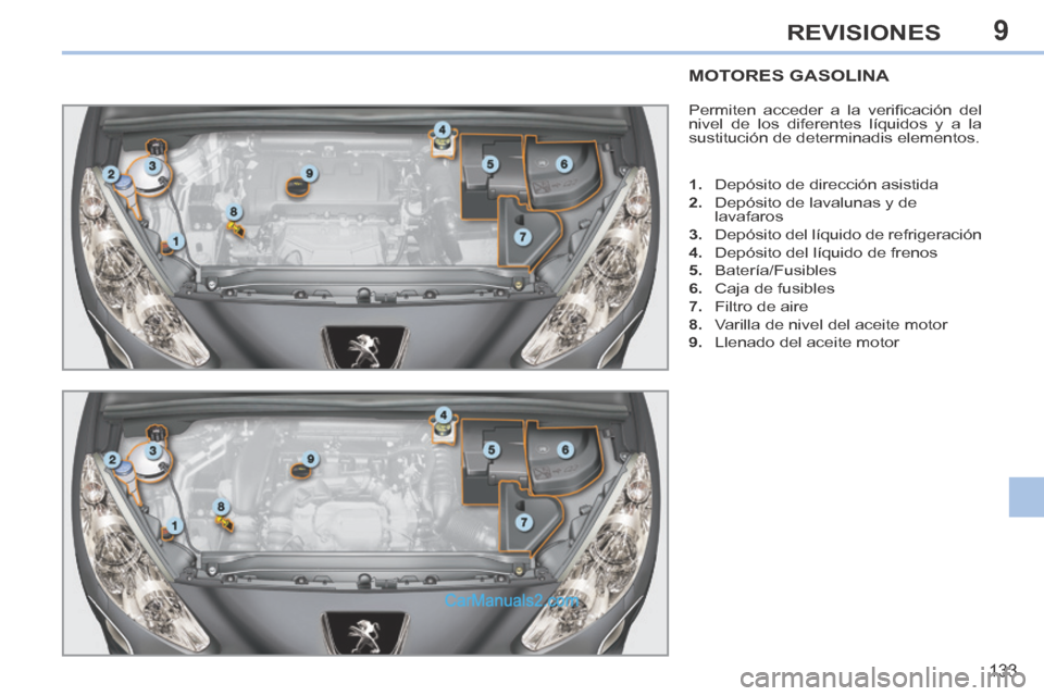 Peugeot 308 CC 2014  Manual del propietario (in Spanish) 9
133
REVISIONES
MOTORES GASOLINA 
 Permiten  acceder  a  la  veriﬁ cación  del 
nivel de los diferentes líquidos y a la 
sustitución de determinadis elementos. 
   1.   Depósito de dirección a
