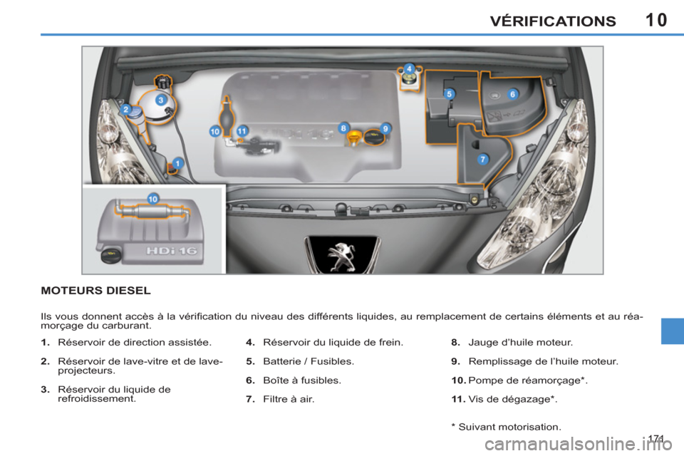Peugeot 308 SW BL 2011  Manuel du propriétaire (in French) 10
171
VÉRIFICATIONS
MOTEURS DIESEL 
  Ils vous donnent accès à la vériﬁ cation du niveau des différents liquides, au remplacement de certains éléments et au réa-
morçage du carburant. 
   