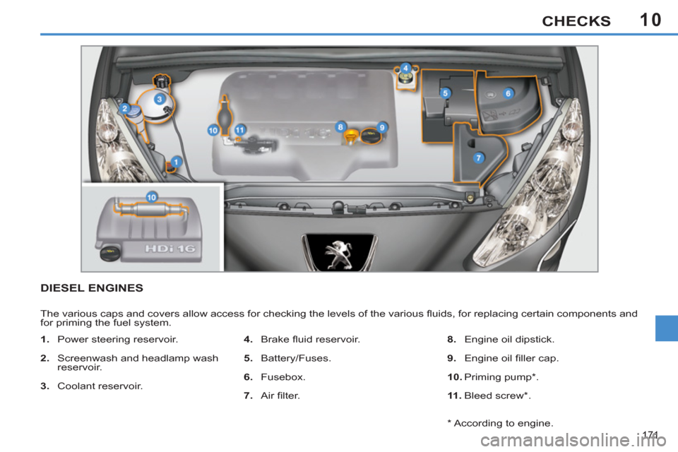 Peugeot 308 SW BL 2011  Owners Manual - RHD (UK. Australia) 10
171
CHECKS
   
 
 
 
 
 
 
 
 
 
 
 
 
DIESEL ENGINES 
 
The various caps and covers allow access for checking the levels of the various ﬂ uids, for replacing certain components and 
for priming 