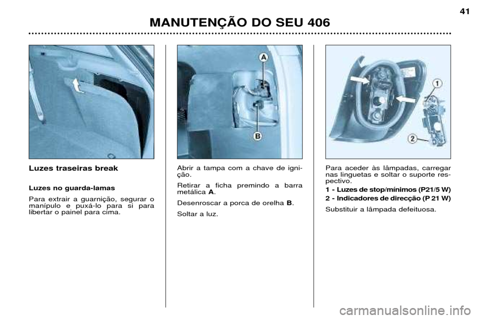 Peugeot 406 Break 2002  Manual do proprietário (in Portuguese) Luzes traseiras break Luzes no guarda-lamas Para extrair a guarnição, segurar o manípulo e puxá-lo para si paralibertar o painel para cima.Abrir a tampa com a chave de igni-ção. Retirar a ficha 