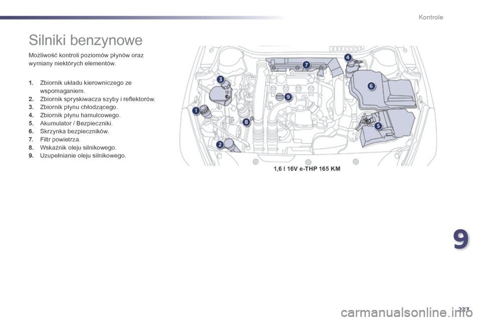 Peugeot 508 Hybrid 2014  Instrukcja Obsługi (in Polish) 233
508_pl_Chap09_verifications_ed02-2014
1,6 l 16V e-THP 165 KM
Silniki benzynowe
Możliwość kontroli poziomów płynów oraz 
wymiany niektórych elementów.
1.
 Z
biornik układu kierowniczego ze