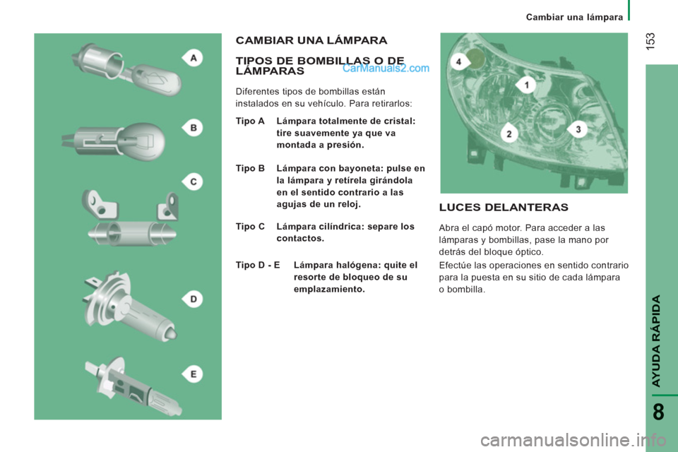 Peugeot Boxer 2013  Manual del propietario (in Spanish) 153
AYUDA RÁPID
A
8
   
 
Cambiar una lámpara  
 
 
 
TIPOS DE BOMBILLAS O DE 
LÁMPARAS 
  Diferentes tipos de bombillas están 
instalados en su vehículo. Para retirarlos: 
  CAMBIAR UNA LÁMPARA