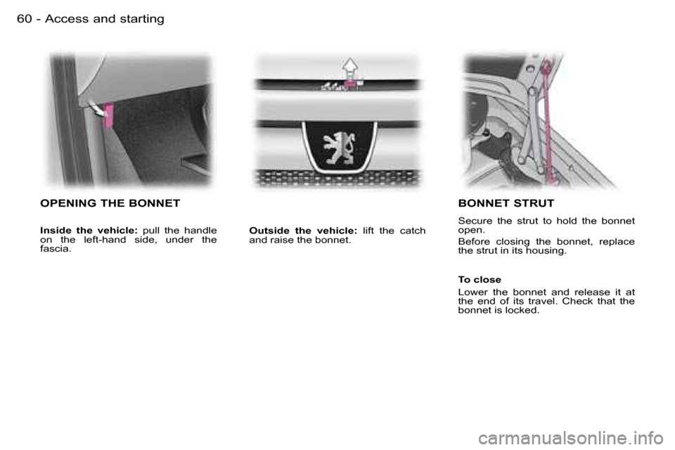 Peugeot Expert Dag 2006  Owners Manual �A�c�c�e�s�s� �a�n�d� �s�t�a�r�t�i�n�g�6�0 �-
�O�P�E�N�I�N�G� �T�H�E� �B�O�N�N�E�T
�I�n�s�i�d�e�  �t�h�e�  �v�e�h�i�c�l�e�:�  �p�u�l�l�  �t�h�e�  �h�a�n�d�l�e� 
�o�n�  �t�h�e�  �l�e�f�t�-�h�a�n�d�  �s