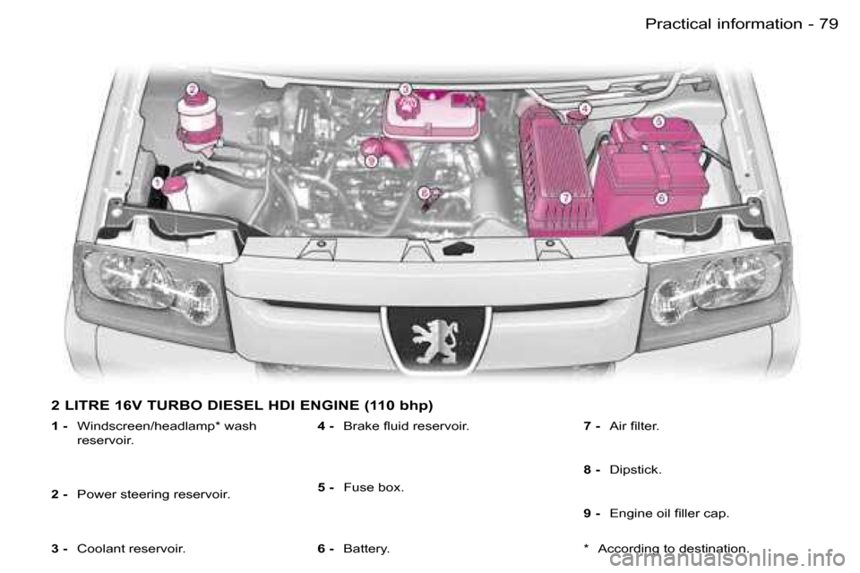 Peugeot Expert Dag 2006  Owners Manual �7�9�P�r�a�c�t�i�c�a�l� �i�n�f�o�r�m�a�t�i�o�n�-
�2� �L�I�T�R�E� �1�6�V� �T�U�R�B�O� �D�I�E�S�E�L� �H�D�I� �E�N�G�I�N�E� �(�1�1�0� �b�h�p�)
�1� �-� �W�i�n�d�s�c�r�e�e�n�/�h�e�a�d�l�a�m�p�*� �w�a�s�h� 