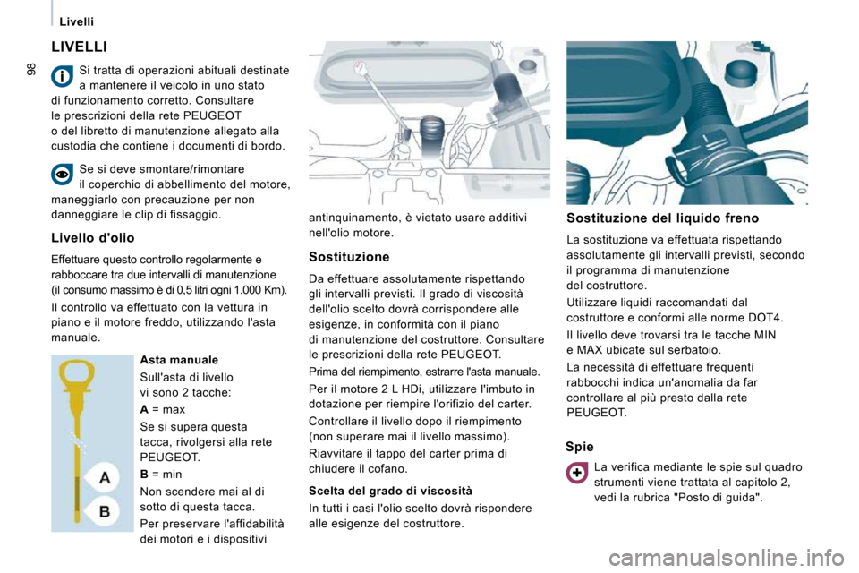 Peugeot Expert VU 2009  Manuale del proprietario (in Italian) 98
   Livelli   
 LIVELLI 
antinquinamento, è vietato usare additivi  
nellolio motore.     Sostituzione  del  liquido  freno  
 La sostituzione va effettuata rispettando  
assolutamente gli interva