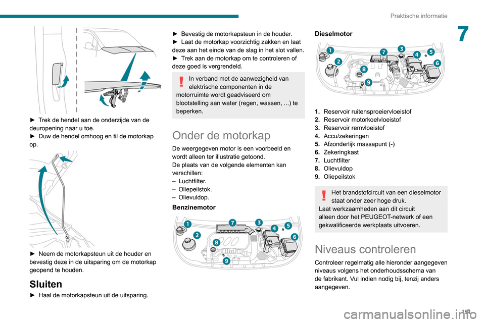 Peugeot Partner 2020 Handleiding (in Dutch) 151
Praktische informatie
7
► Trek de hendel aan de onderzijde van de
deuropening naar u toe.
►
Duw de hendel omhoog en til de motorkap
op.
► Neem de motorkapsteun uit de houder en
bev Peugeot Partner 2020 Handleiding (in Dutch) 151
Praktische informatie
7
► Trek de hendel aan de onderzijde van de
deuropening naar u toe.
►
Duw de hendel omhoog en til de motorkap
op.
► Neem de motorkapsteun uit de houder en
bev