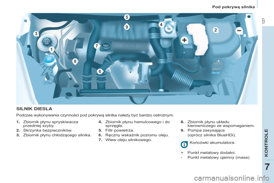 Peugeot Partner 2017  Instrukcja Obsługi (in Polish) 127
Partner-2-VU_pl_Chap07_Verification_ed02-2016
SILNIK DIESLA
4. Zbiornik płynu hamulcowego i  do 
sprzęgła.
5.
 
Filtr powietrza.
6.

 
Ręczny wskaźnik poziomu oleju.
7.

 
Wlew oleju silnikow