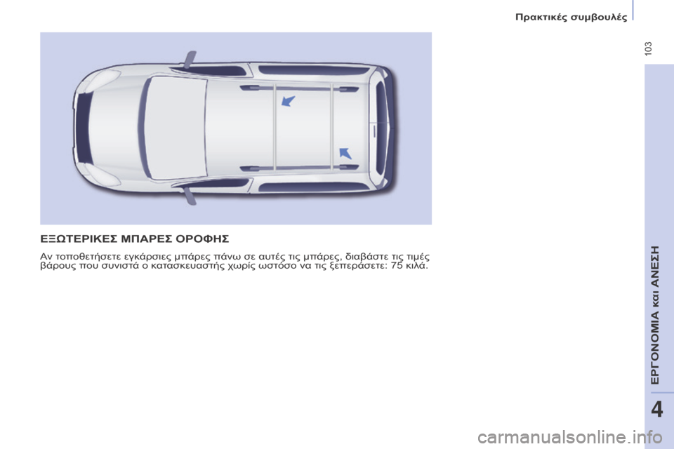 Peugeot Partner Tepee 2016  Εγχειρίδιο χρήσης (in Greek)  103
ΕΞΩΤΕΡΙΚΕΣ ΜΠΑΡΕΣ ΟΡΟΦΗΣ
Αν τοποθετήσετε εγκάρσιες μπάρες πάνω σε αυτές τις μπάρες, διαβάστε τις τιμές 
βά