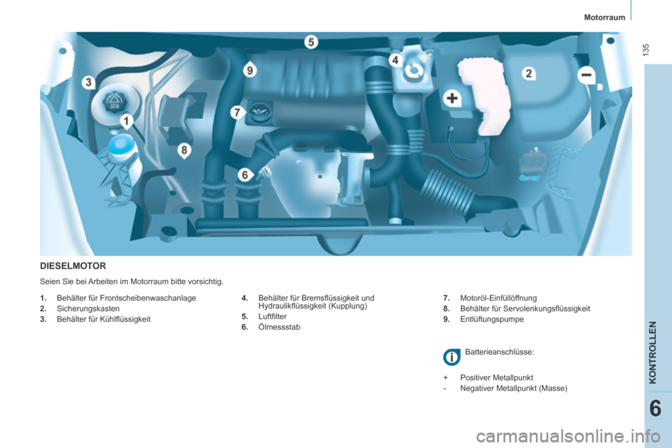 Peugeot Partner Tepee 2014  Betriebsanleitung (in German)    Motorraum   
 135
KONTROLLEN
6
  DIESELMOTOR 
  4.   Behälter für Bremsﬂ üssigkeit und Hydraulikﬂ üssigkeit (Kupplung) 
  5.   Luftﬁ lter 
  6.   Ölmessstab    7.   Motoröl-Einfüllöff