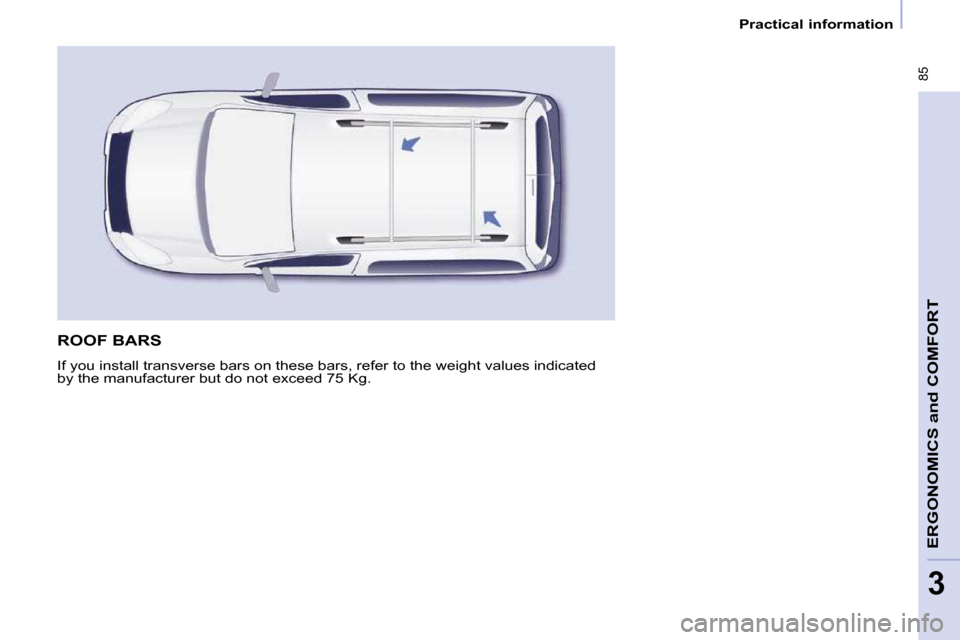 Peugeot Partner Tepee 2010  Owners Manual  85
ERGONOMICS 
and
 COMFORT
3
   Practical information   
 ROOF BARS 
� �I�f� �y�o�u� �i�n�s�t�a�l�l� �t�r�a�n�s�v�e�r�s�e� �b�a�r�s� �o�n� �t�h�e�s�e� �b�a�r�s�,� �r�e�f�e�r� �t�o� �t�h�e� �w�e�i�g�