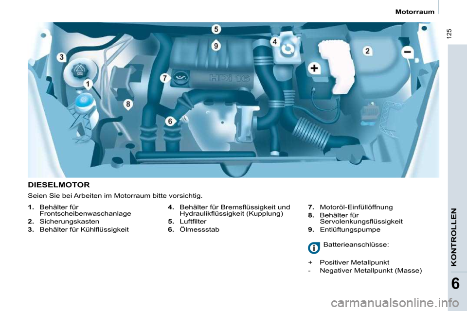 Peugeot Partner Tepee 2009  Betriebsanleitung (in German)  125
KONTROLLEN
6
   Motorraum   
  DIESELMOTOR    
4.  �  �B�e�h�ä�l�t�e�r� �f�ü�r� �B�r�e�m�s�ﬂ� �ü�s�s�i�g�k�e�i�t� �u�n�d� 
�H�y�d�r�a�u�l�i�k�ﬂ� �ü�s�s�i�g�k�e�i�t� �(�K�u�p�p�l�u�n�g�)� 